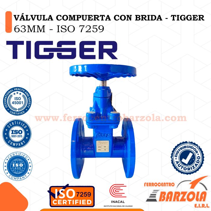 Válvula Compuerta Con Brida 63mm - TIGGER