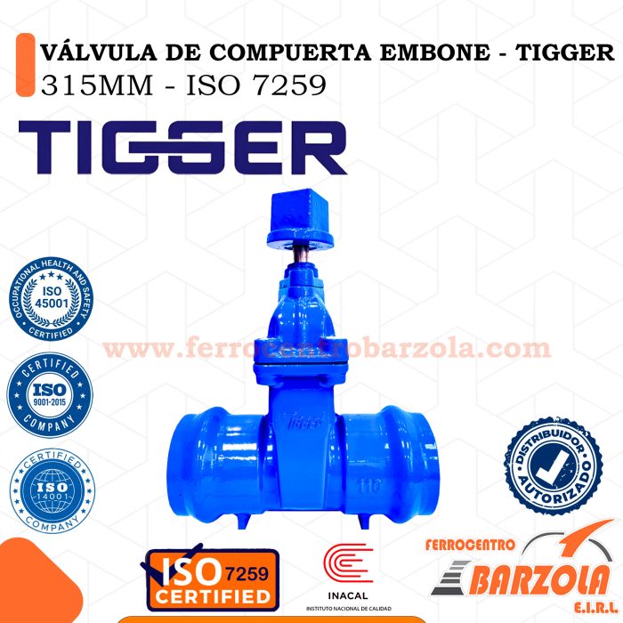 Válvula De Compuerta Embone 315mm - TIGGER