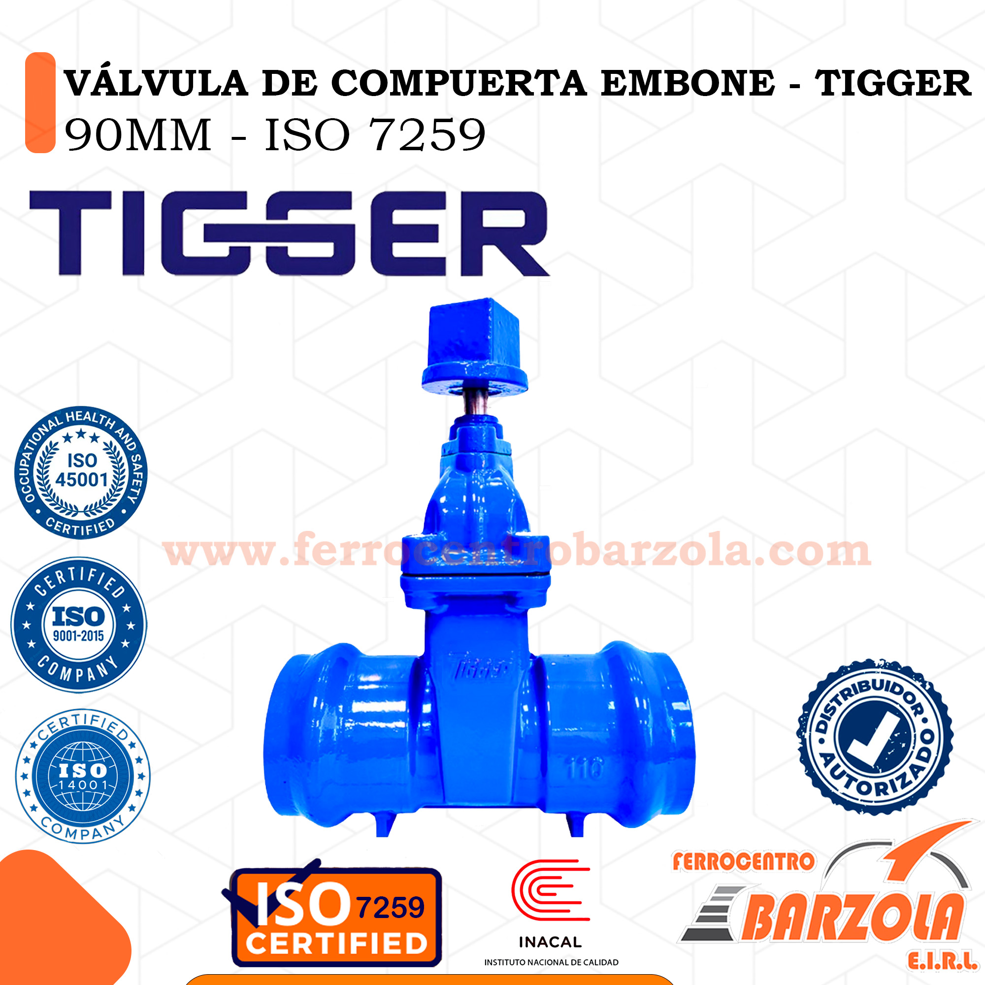 VÁLVULA DE COMPUERTA EMBONE - TIGGER 90mm