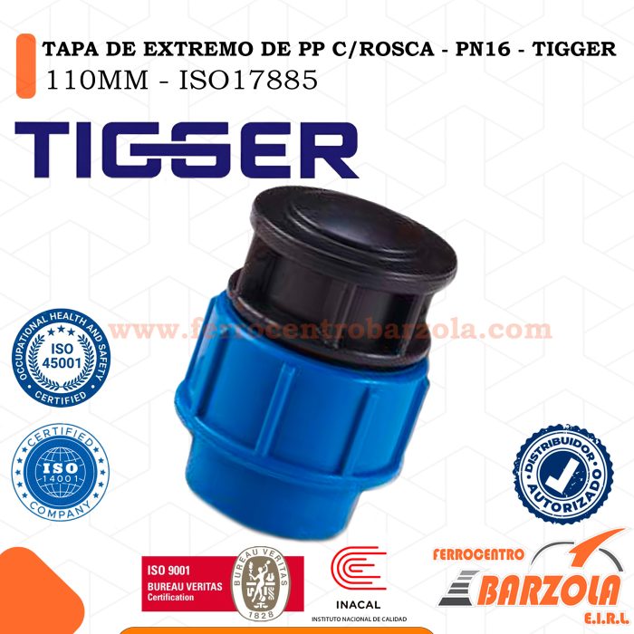 Tapa De Extremo Con Rosca PP 110MM - PN16 - TIGGER